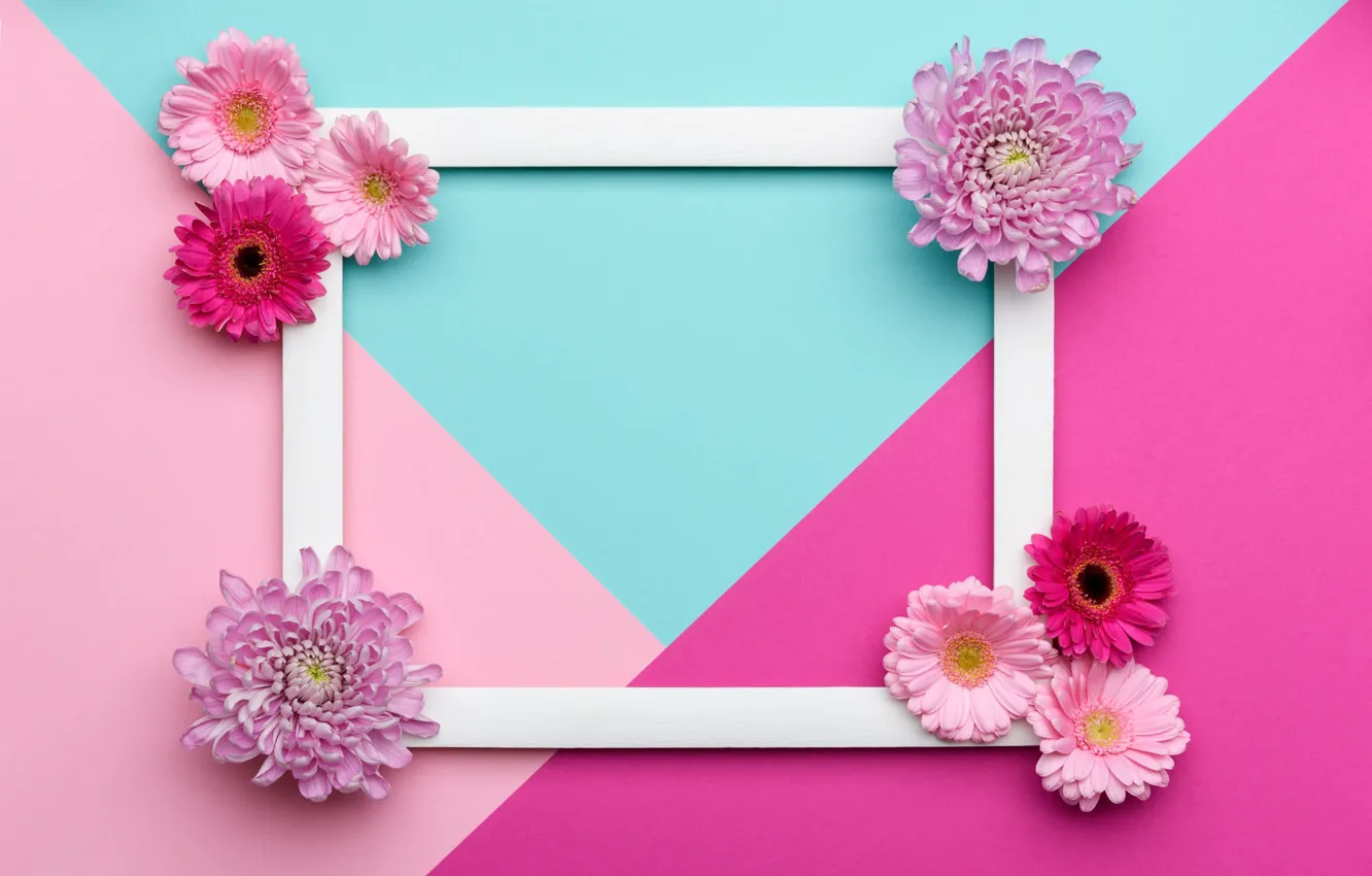 Photo wallpaper line, flowers, background, pink, holiday, blue, triangles, color