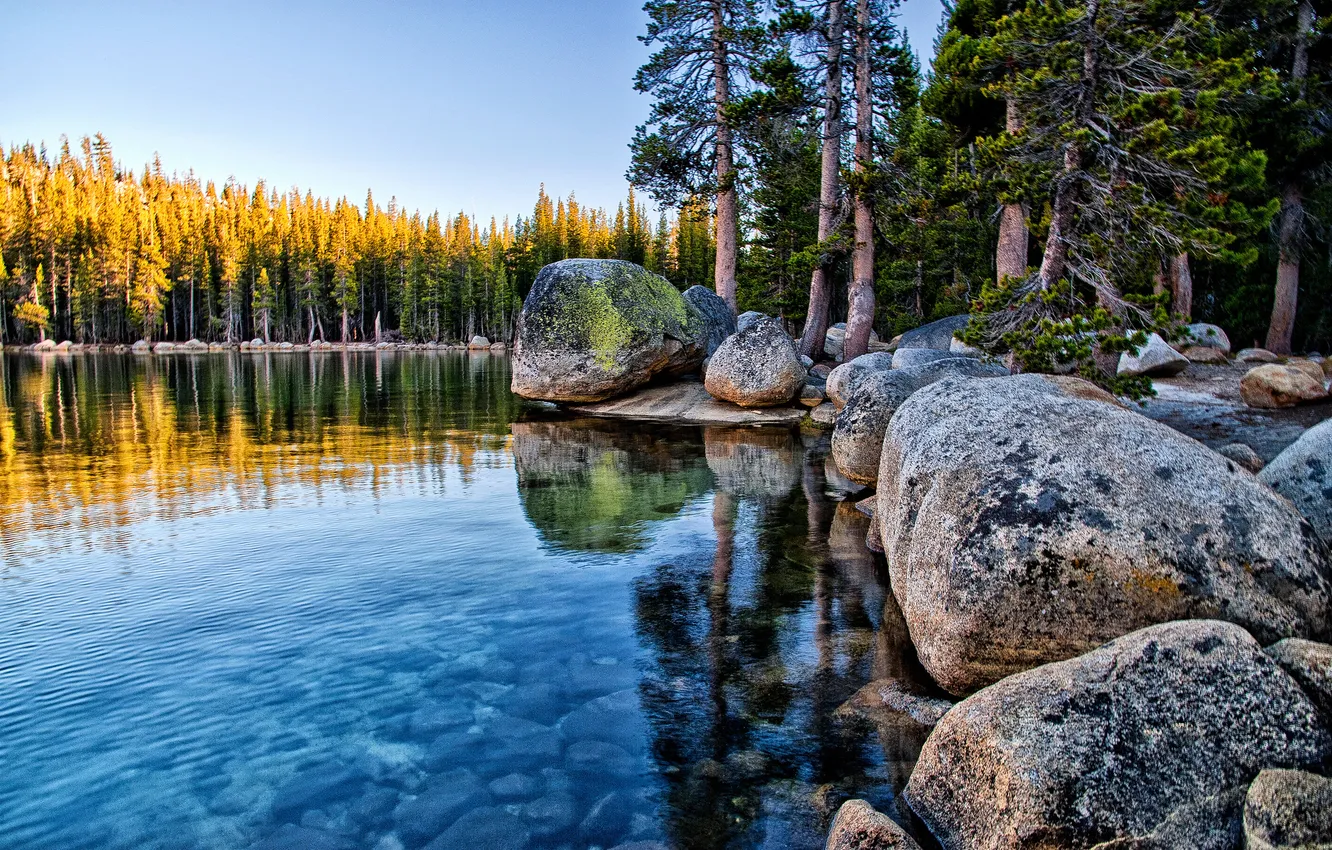 Photo wallpaper forest, stones, CA, Yosemite, California, boulders, Yosemite National Park, Tenaya Lake