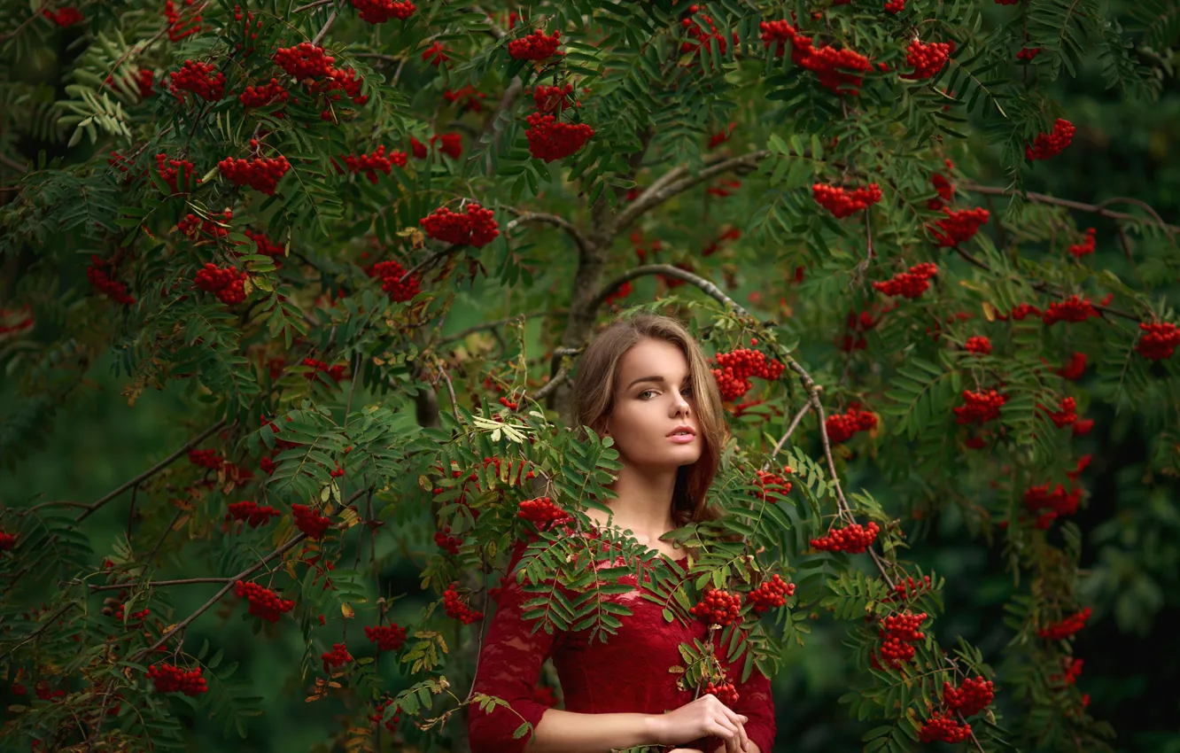 Photo wallpaper look, girl, branches, face, Park, tree, green, sweetheart