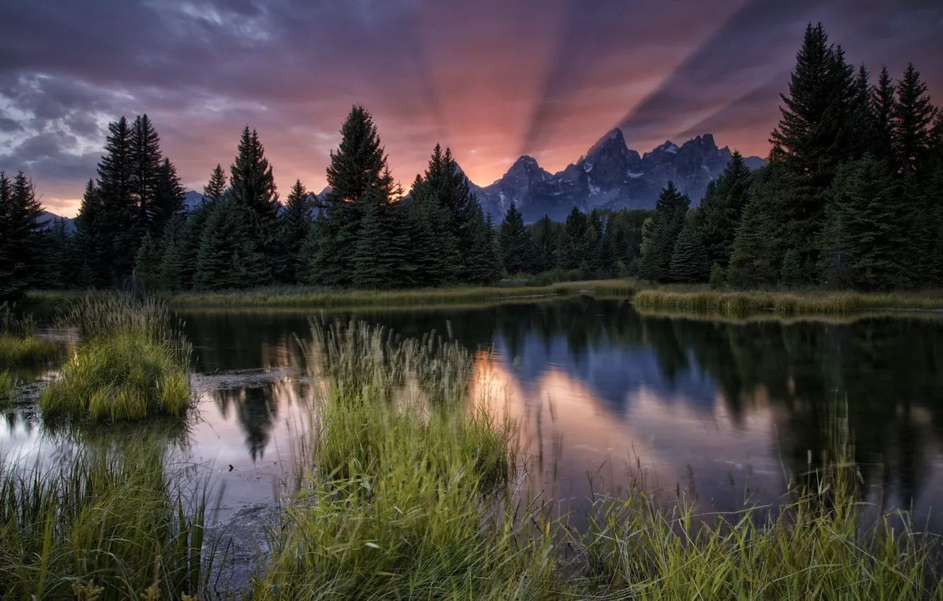 Photo wallpaper forest, sunset, mountains, river