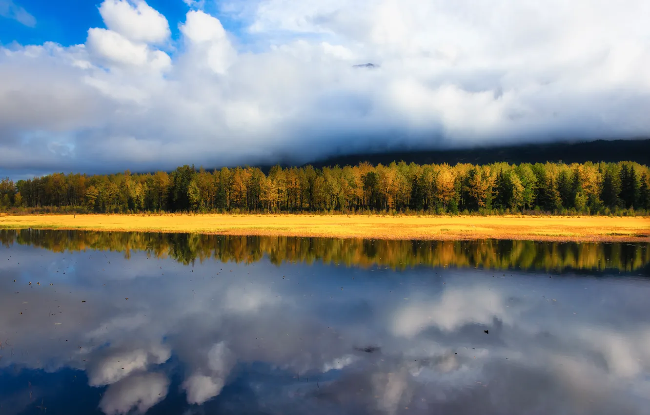 Photo wallpaper autumn, forest, the sky, clouds, light, fog, lake, reflection
