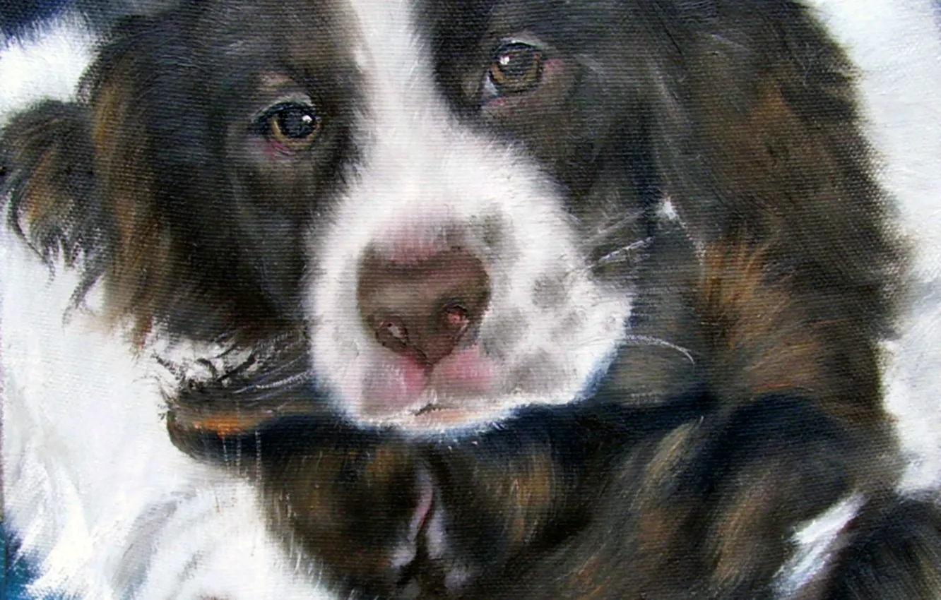 Photo wallpaper look, pose, oil, portrait, dog, pair, painting, face