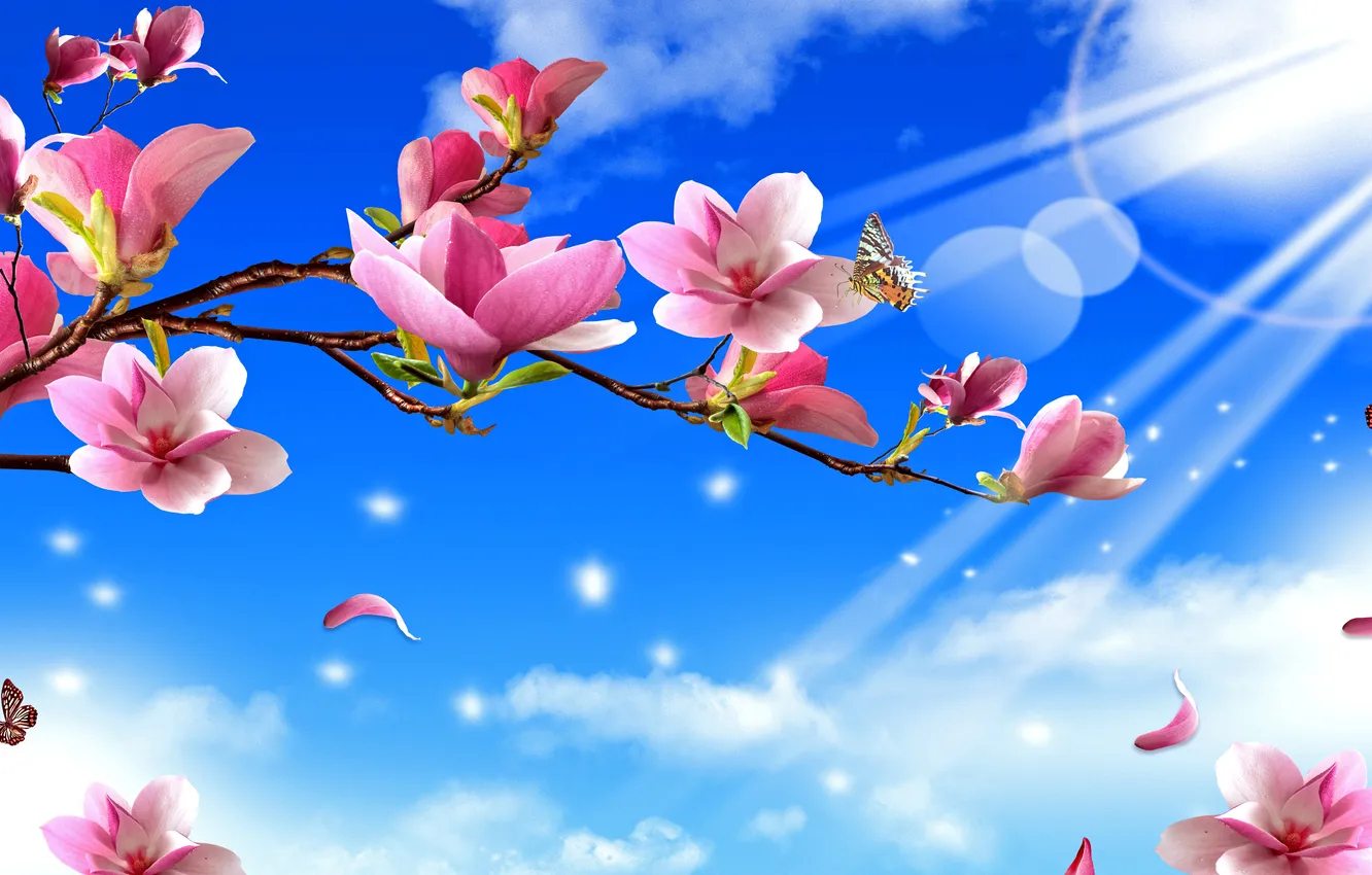 Photo wallpaper the sun, rays, flowers, nature, branch, butterfly, nature, flowers