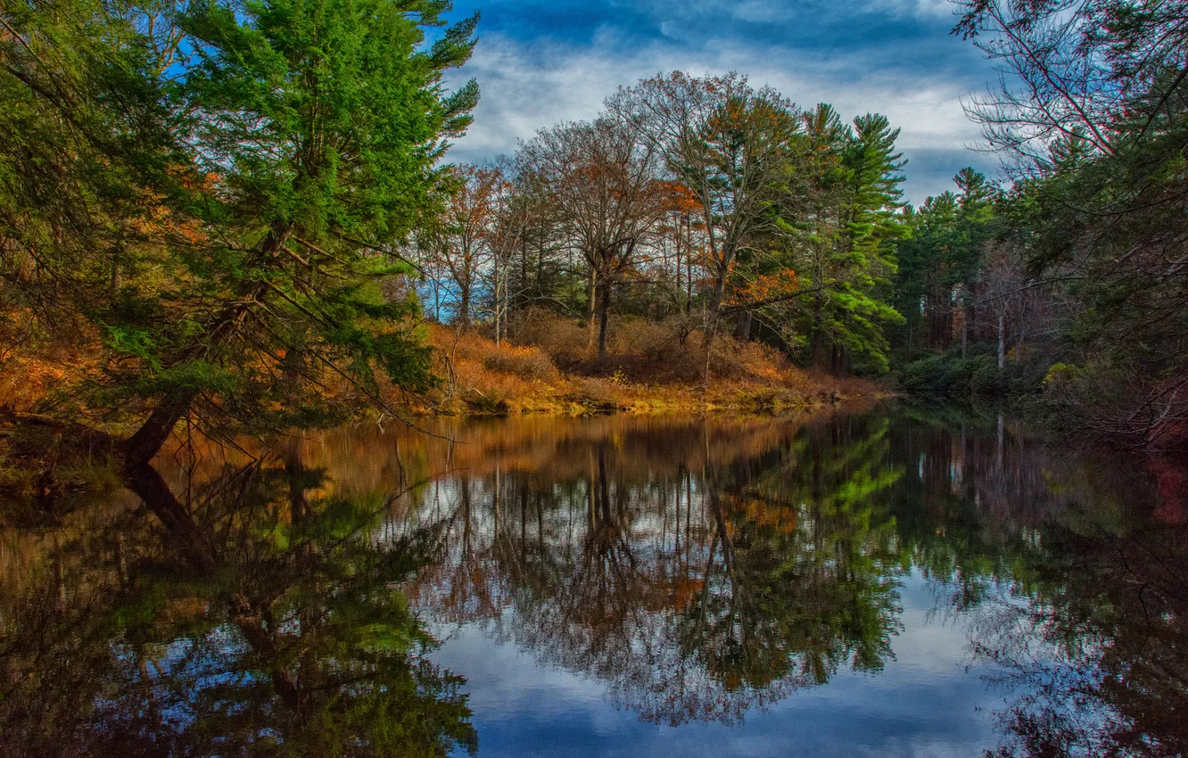 Photo wallpaper autumn, forest, the sky, clouds, trees, river