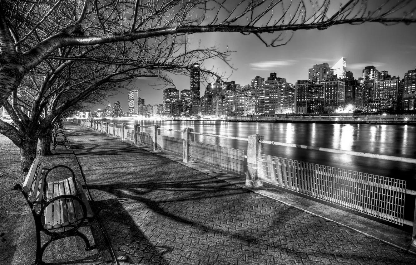 Photo wallpaper trees, night, the city, black and white, New York, USA, USA, benches