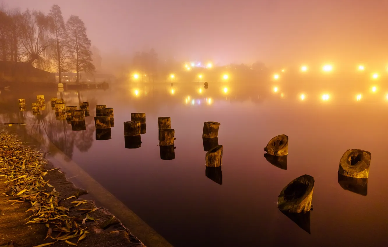 Photo wallpaper night, fog, river