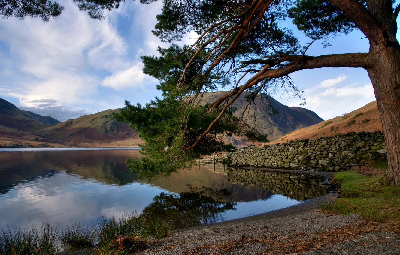 Photo wallpaper trees, mountains, nature, lake, hills, shore