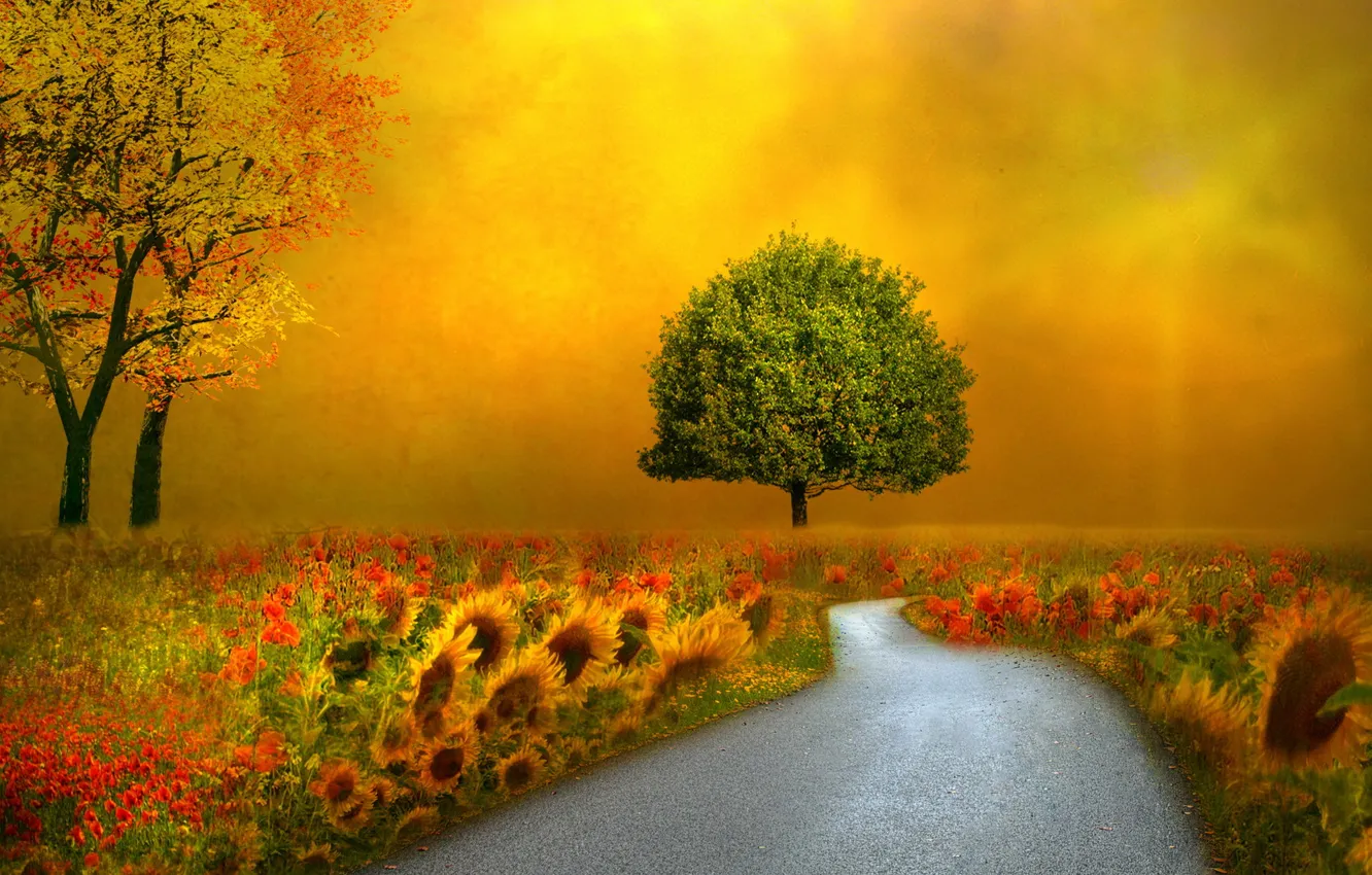 Photo wallpaper road, landscape, style