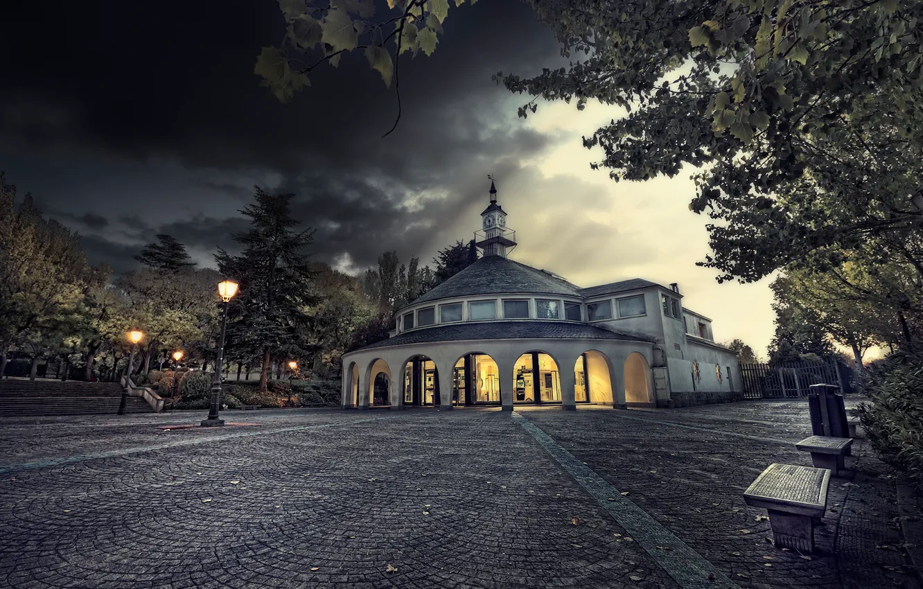 Photo wallpaper trees, the city, lights, foliage, the evening, pavers, area, lights