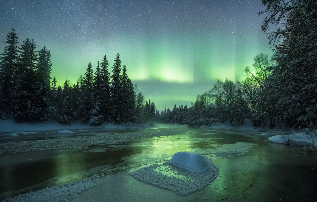 Photo wallpaper winter, forest, the sky, snow, night, nature, river, Northern lights