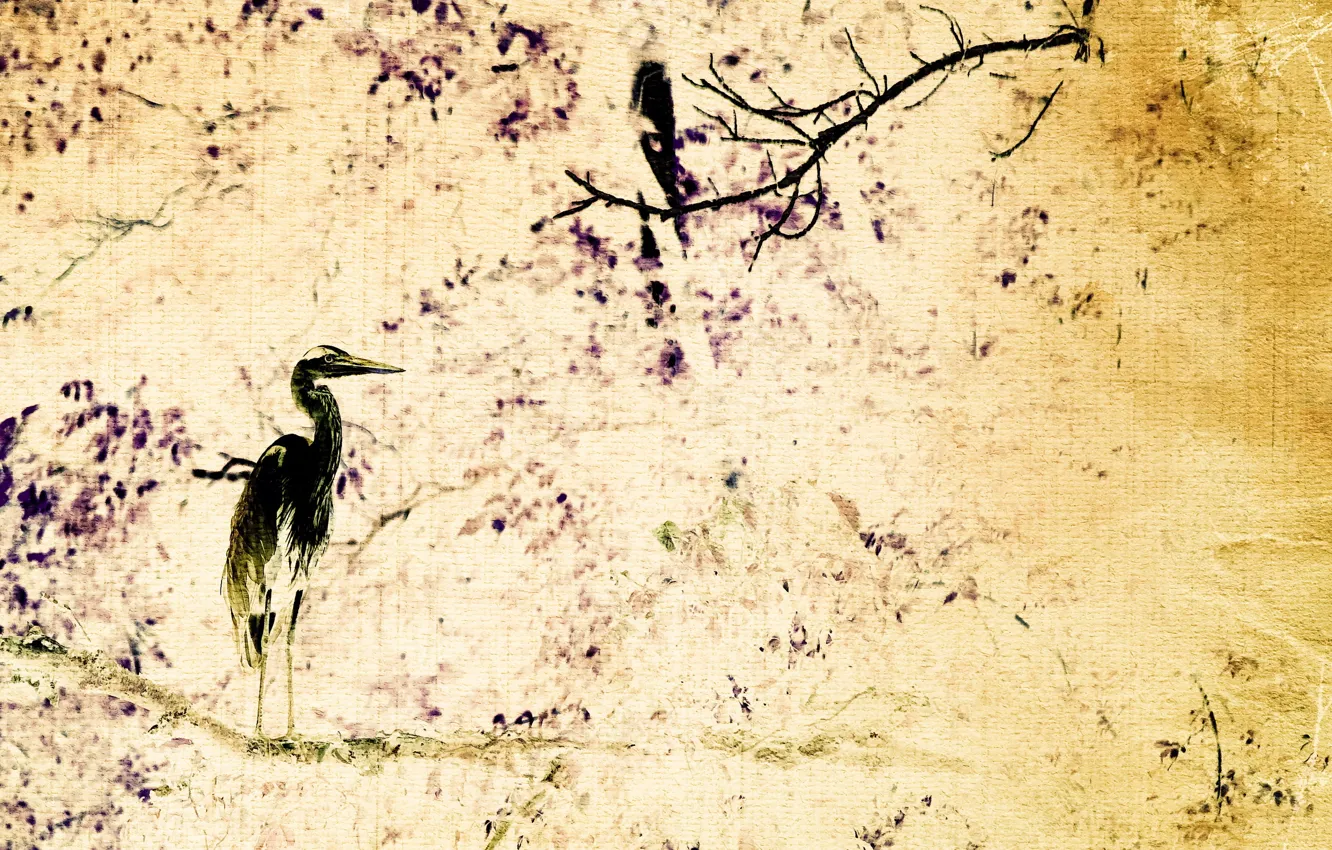 Photo wallpaper style, background, bird, texture