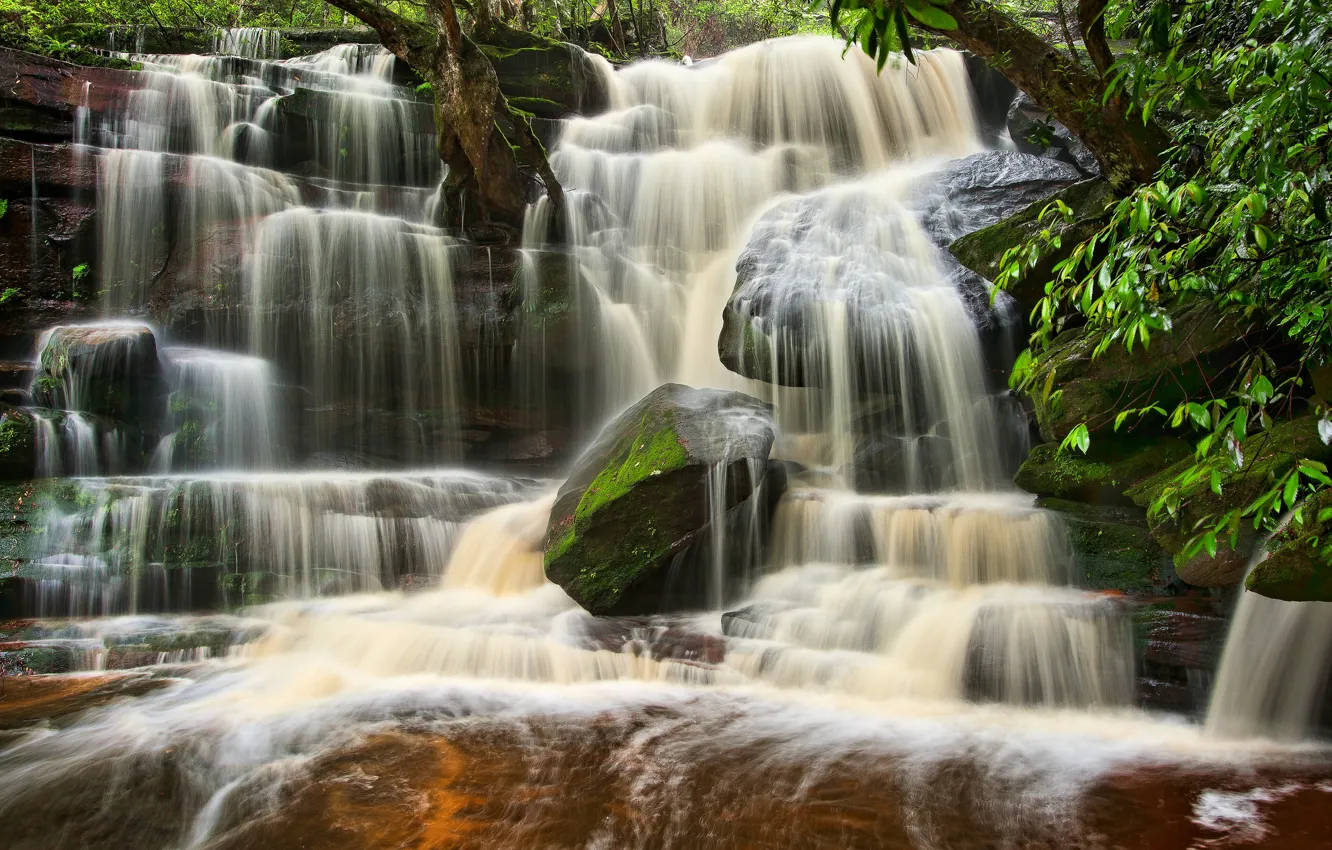 Photo wallpaper waterfall, Australia, cascade, Australia, Brisbane Water National Park, Somersby Falls