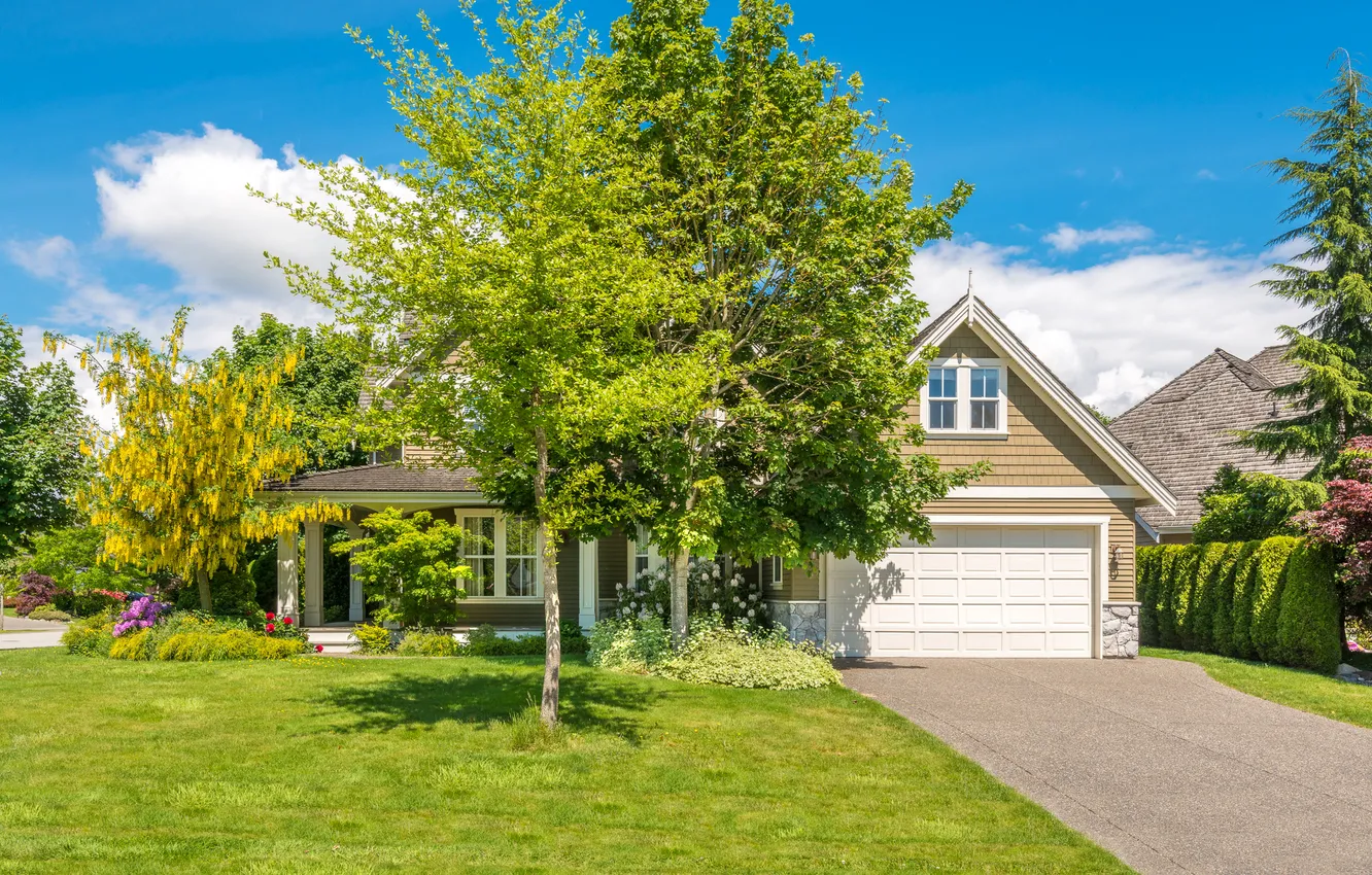 Photo wallpaper summer, the sky, grass, the sun, clouds, trees, flowers, design