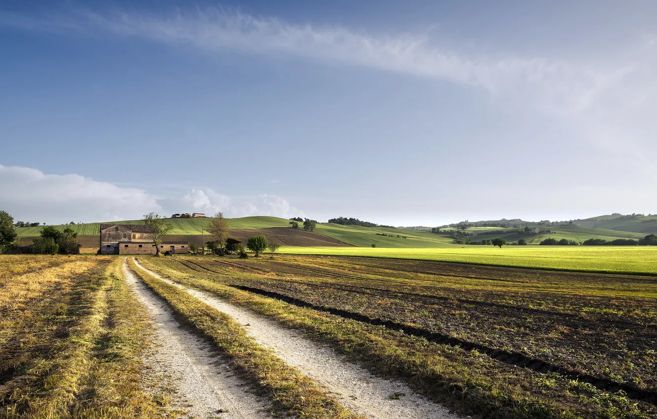 Photo wallpaper road, field, landscape, home