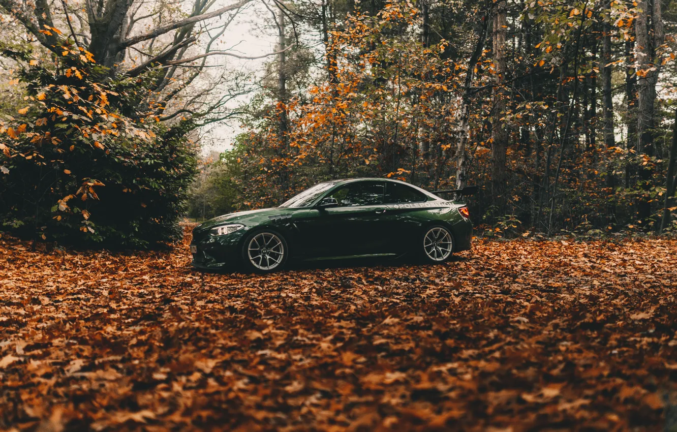 Photo wallpaper BMW, Car, Wood, Coupe, Autumn, Tuning, Sportcar, Trees