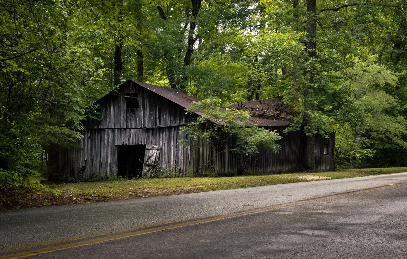 Photo wallpaper road, trees, house