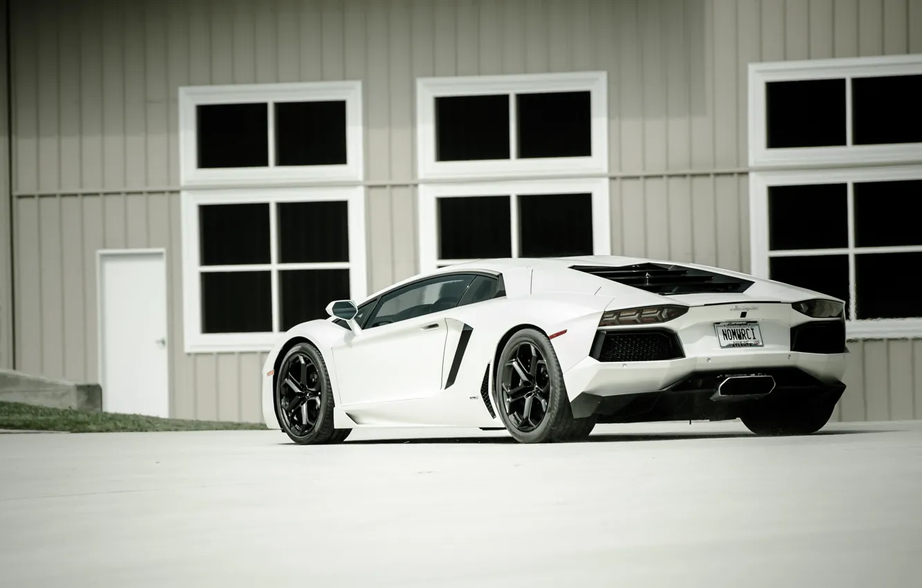 Photo wallpaper white, the building, Windows, white, lamborghini, rear view, aventador, lp700-4