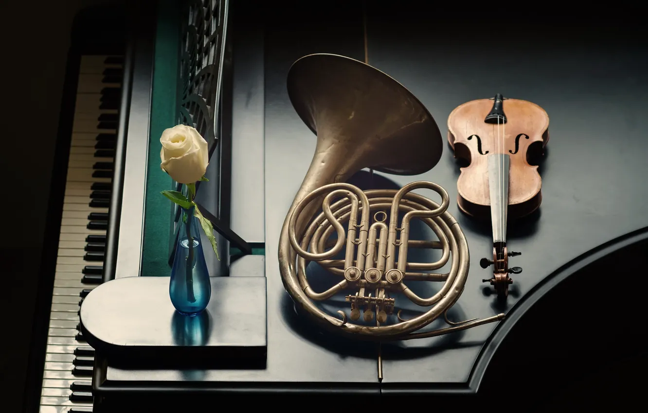 Photo wallpaper violin, pipe, piano