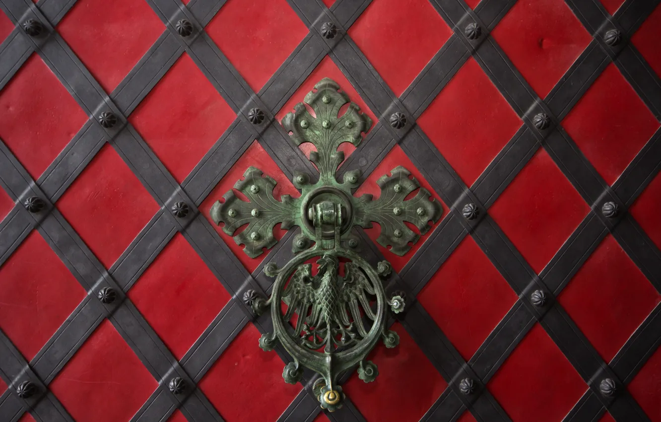 Photo wallpaper metal, texture, gate, handle