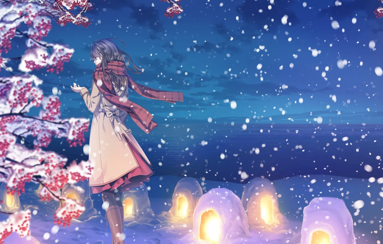 Photo wallpaper winter, the sky, girl, clouds, snow, nature, anime, scarf