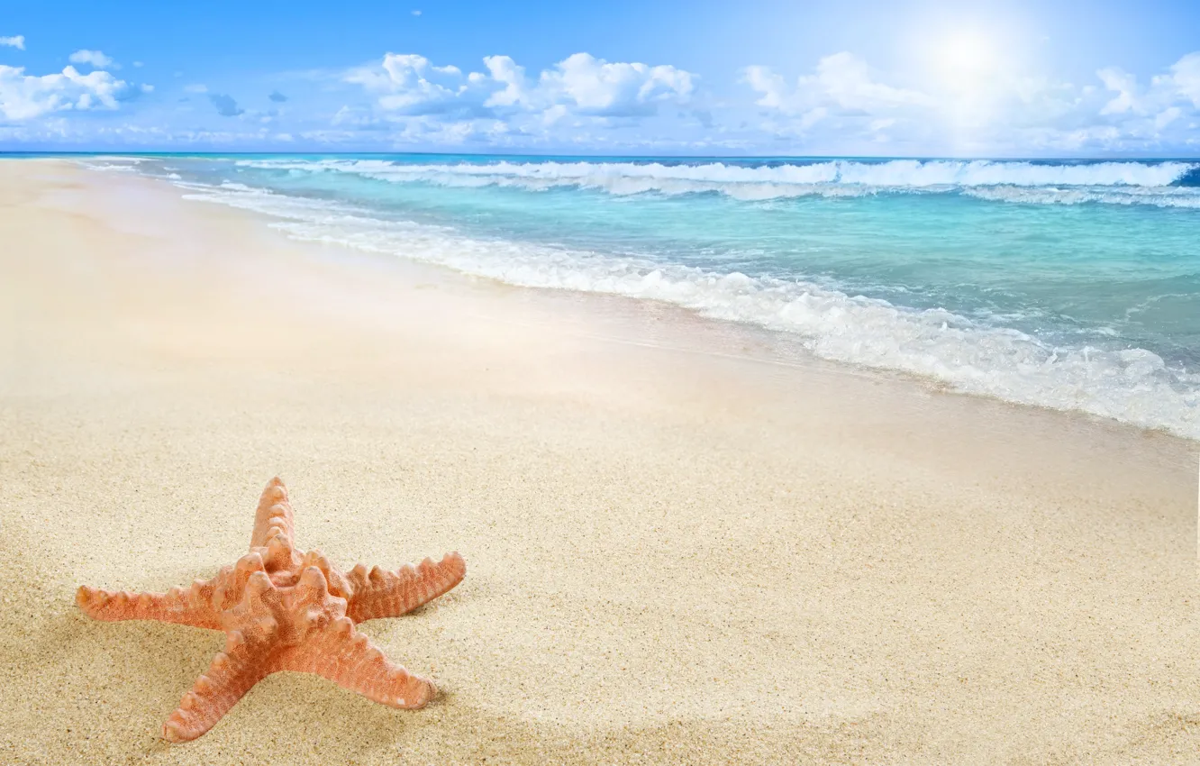 Photo wallpaper beach, sea, sun, sand, starfish