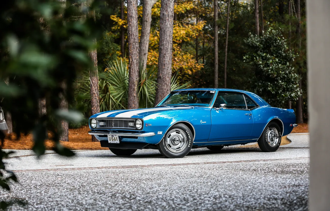 Photo wallpaper Chevrolet, Camaro, Classic, Blue, 1968, z28