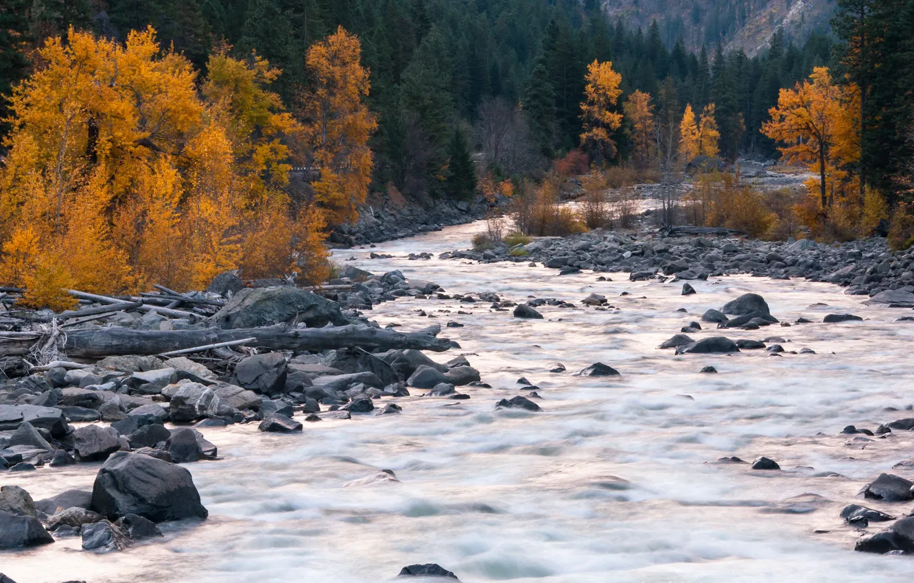 Photo wallpaper autumn, trees, mountains, river, stones