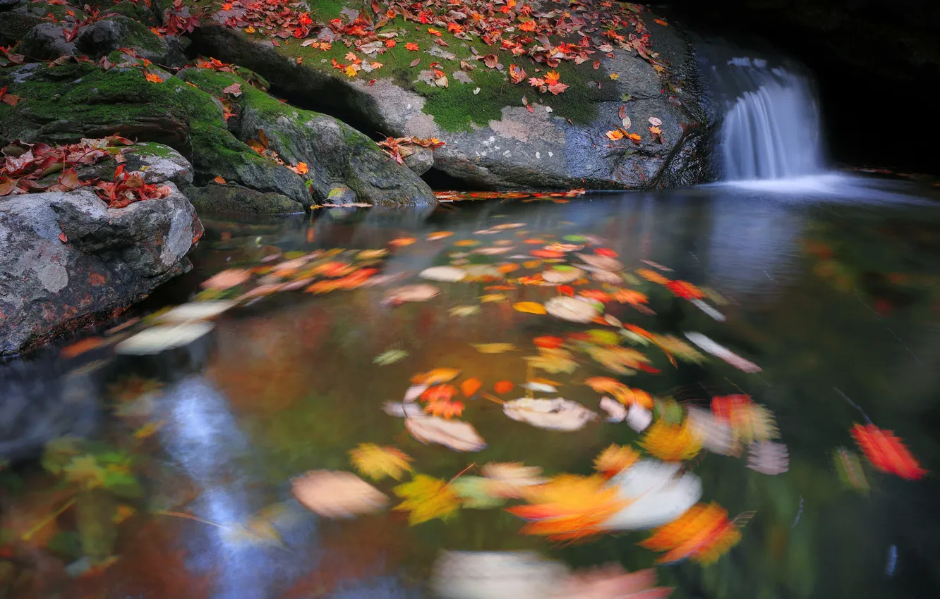 Photo wallpaper autumn, stones, waterfall, whirlpool, falling leaves, autumn leaves