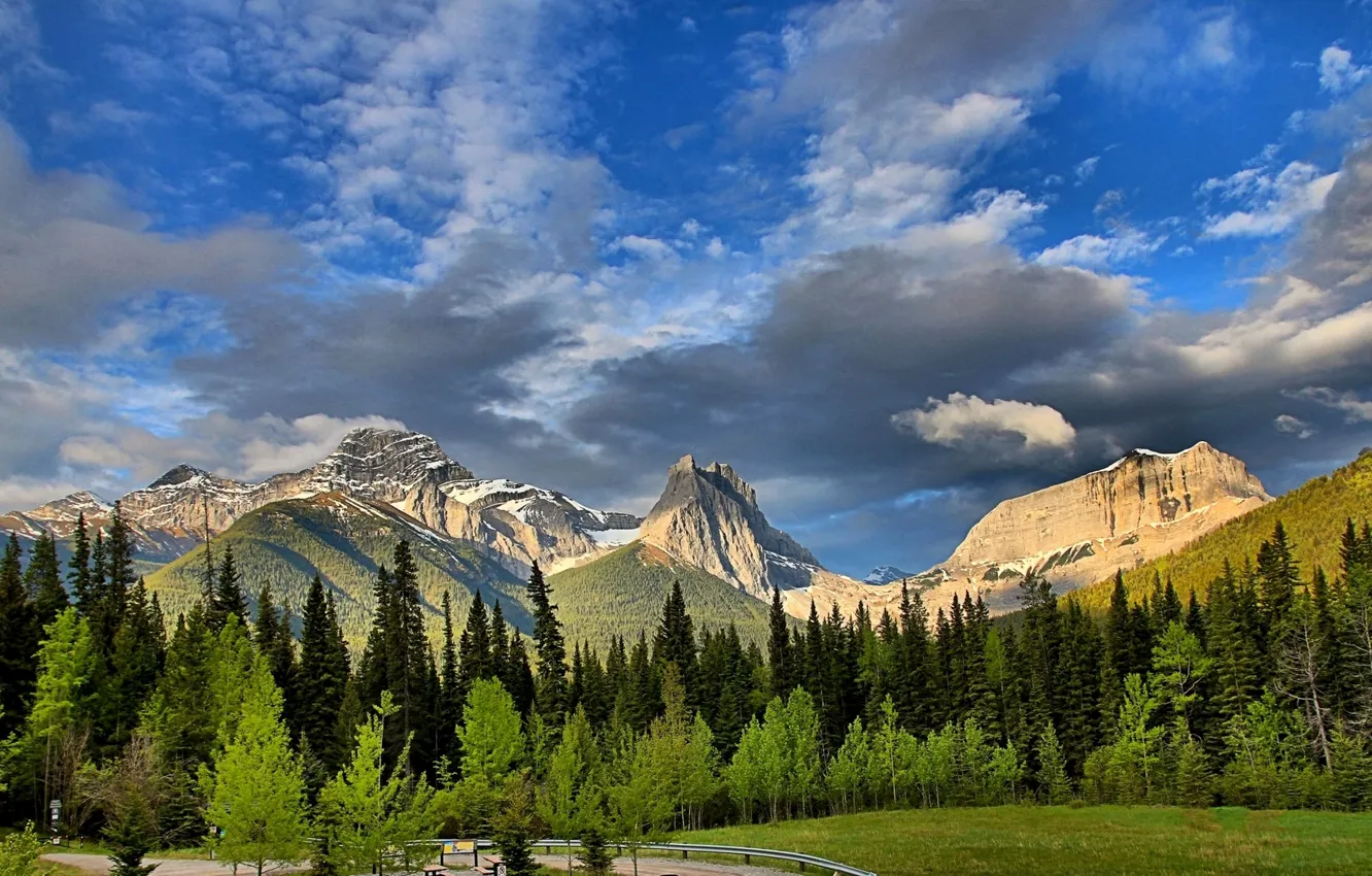 Photo wallpaper forest, trees, Canada, Albert, Alberta, Canada, Canadian Rockies, Wind Mountain