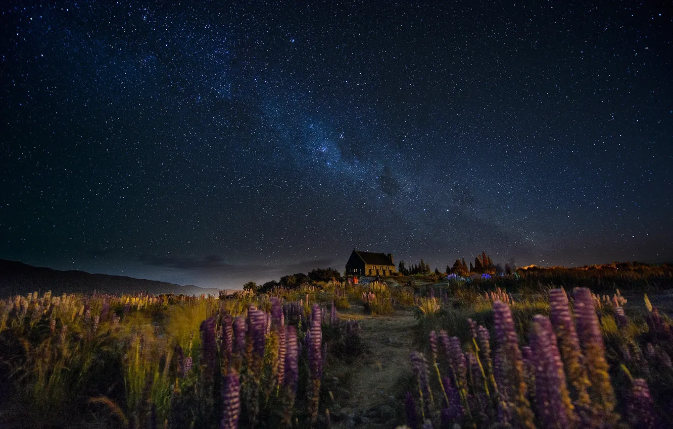 Photo wallpaper the sky, stars, flowers, night, the wind, hills, home, trail