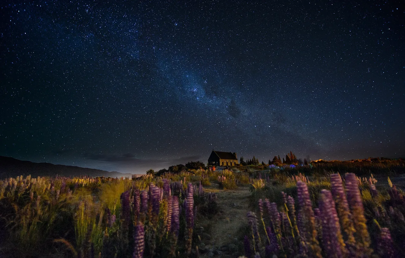 Photo wallpaper the sky, flowers, night, house, the wind, trail, stars, New Zealand