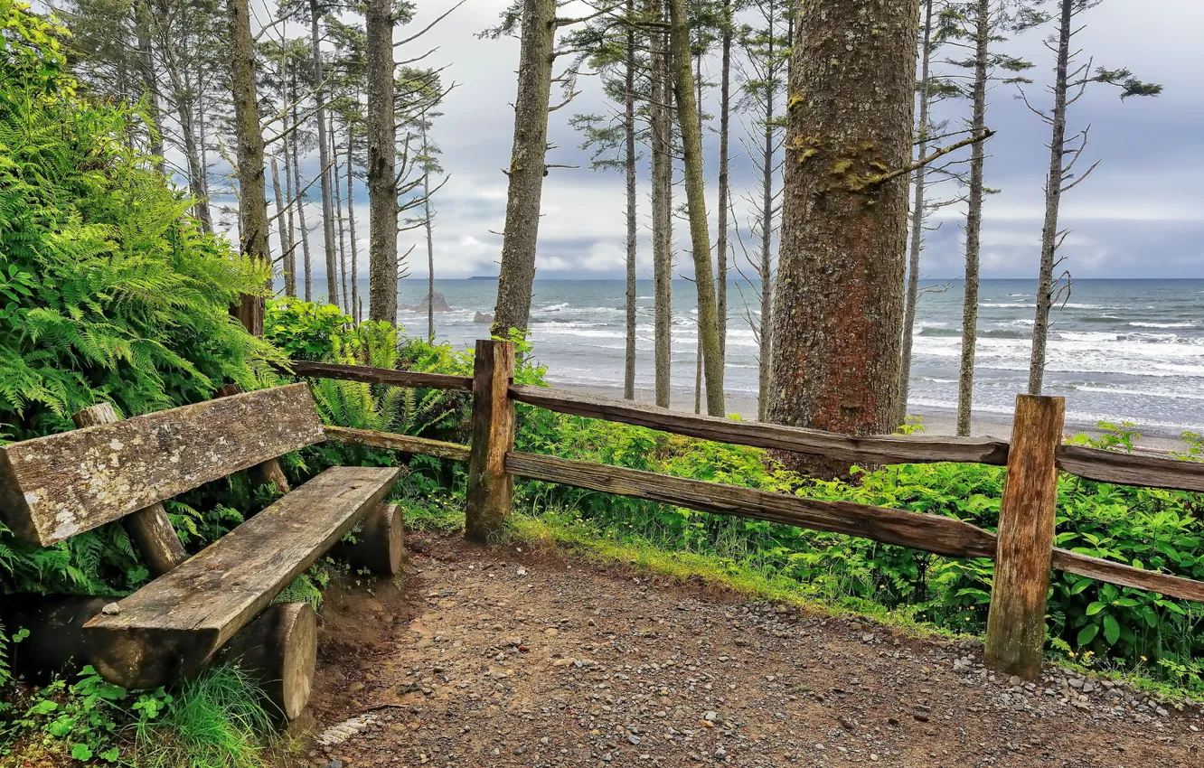 Photo wallpaper waves, ocean, Washington, benches, Ruby Beach