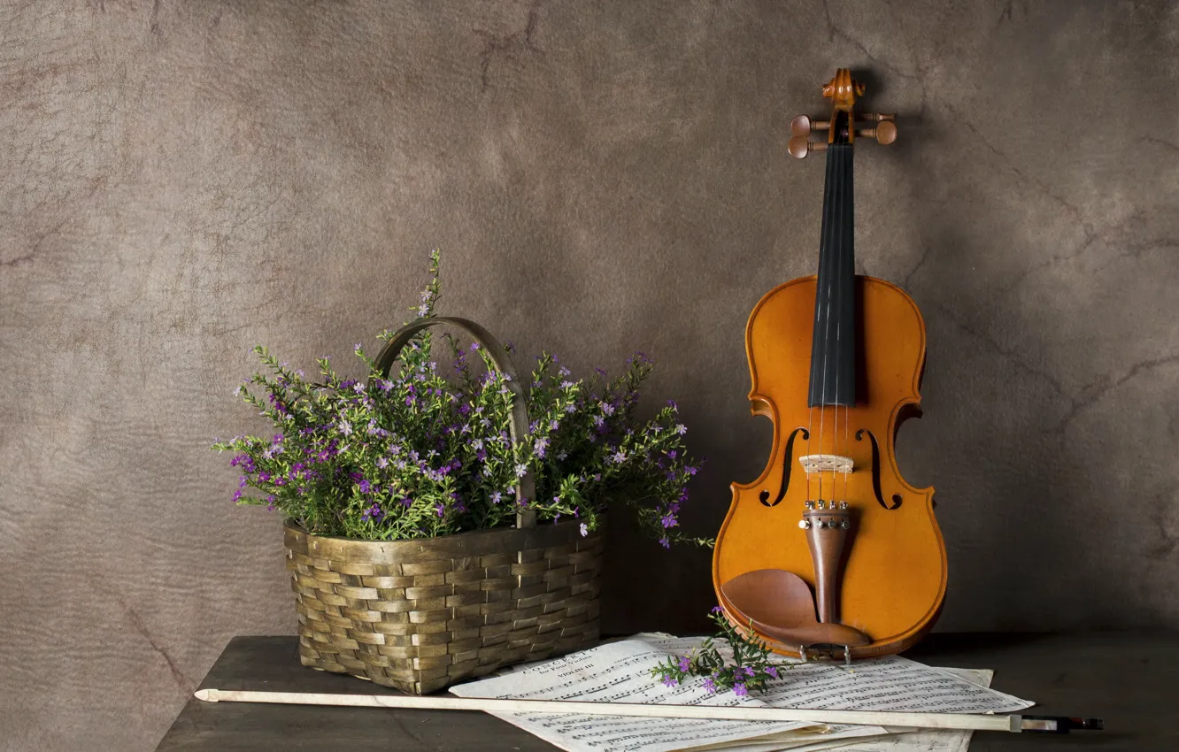 Photo wallpaper flowers, music, violin