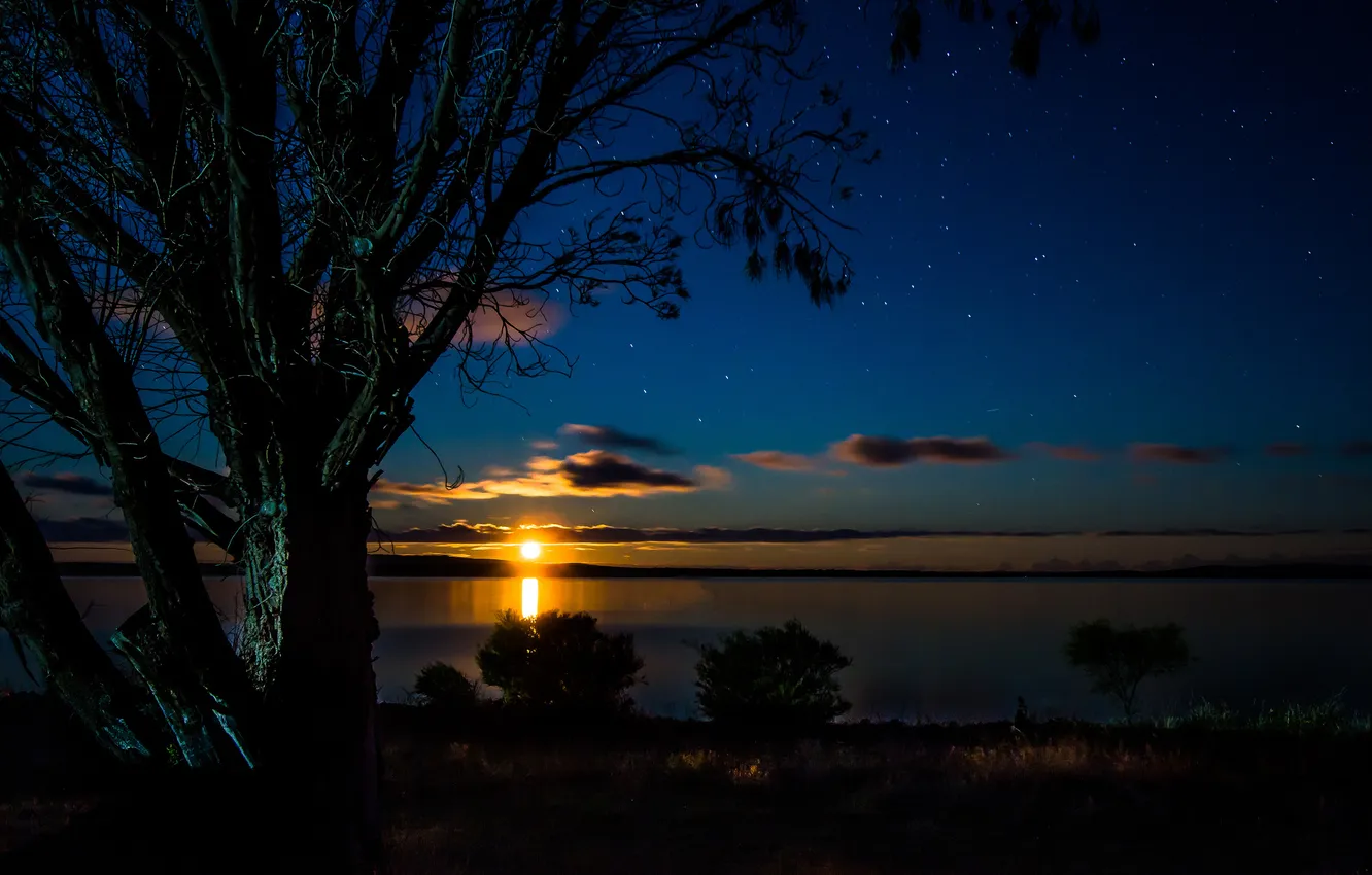 Photo wallpaper the sky, stars, trees, sunset, Bay, twilight