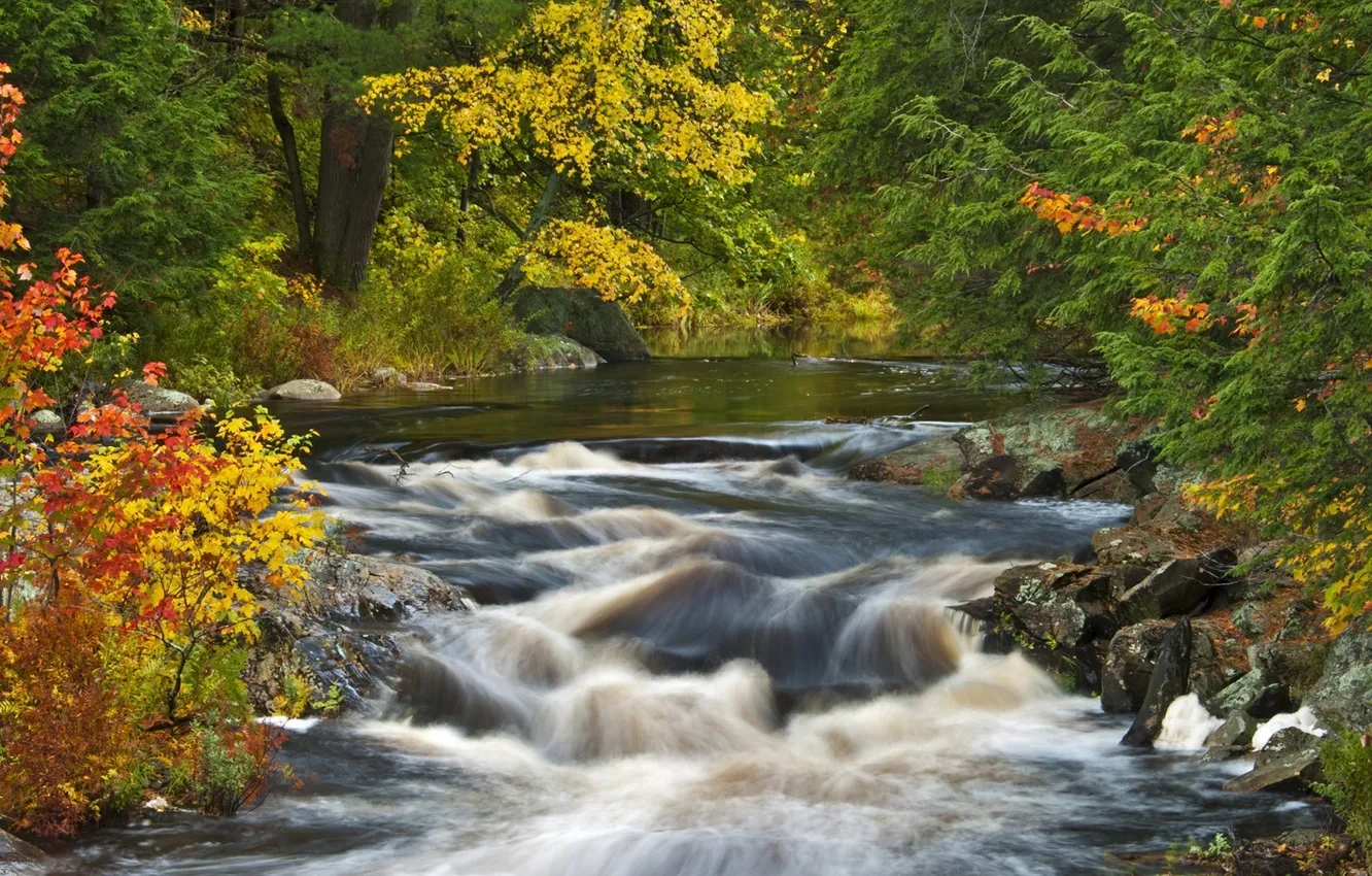 Photo wallpaper autumn, forest, nature, river, waterfall
