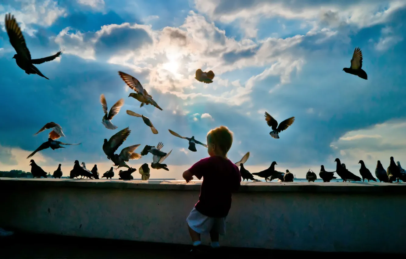Photo wallpaper the sky, birds, boy
