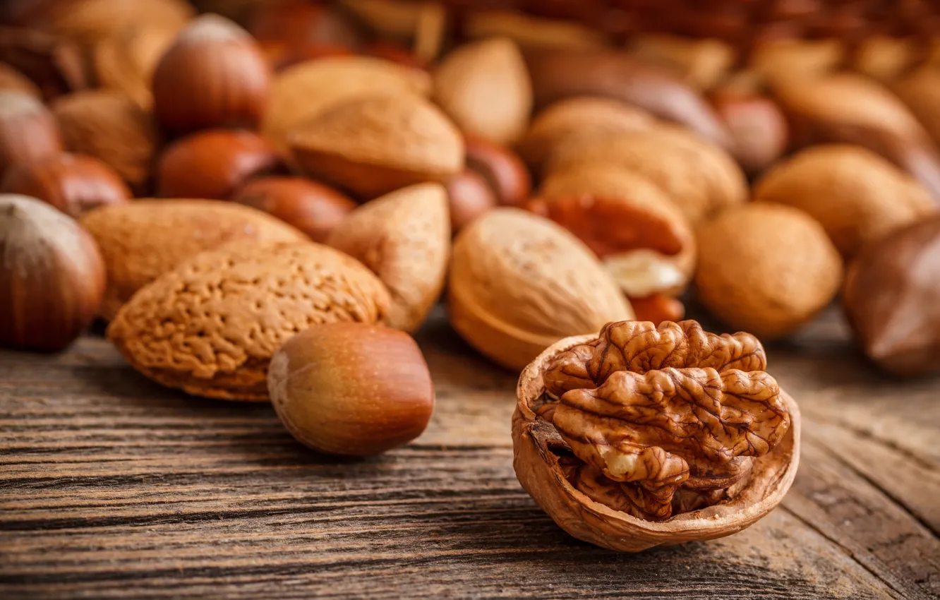 Photo wallpaper nuts, shell, almonds, forest, walnut