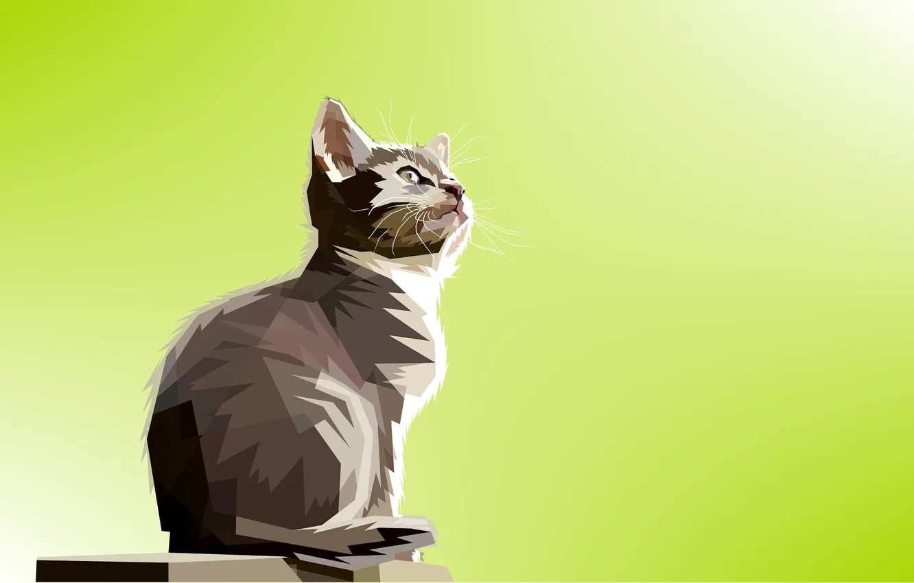 Photo wallpaper cat, cat, triangles, Kota