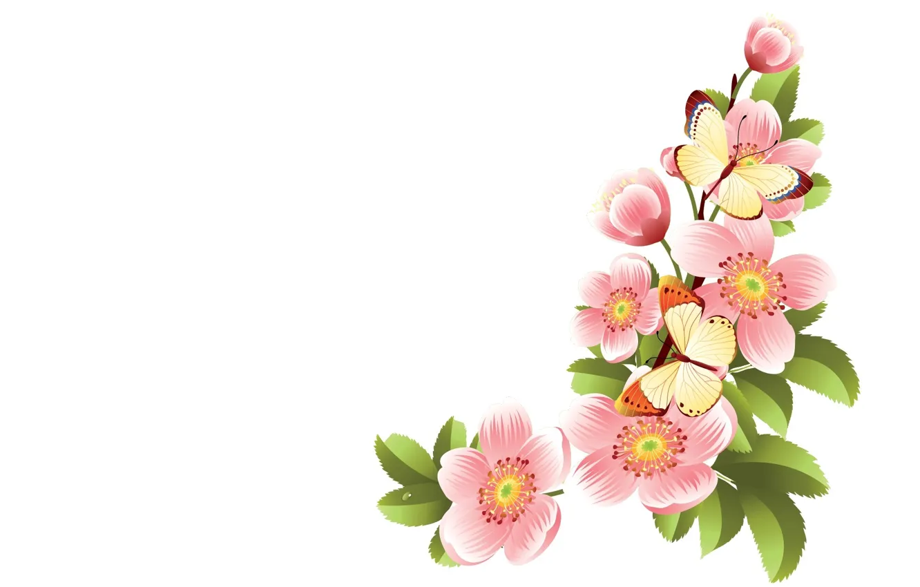 Photo wallpaper butterfly, spring, art. Apple