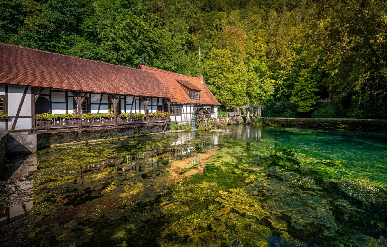Photo wallpaper pond, Germany, Baden-Württemberg, Blaubeuren