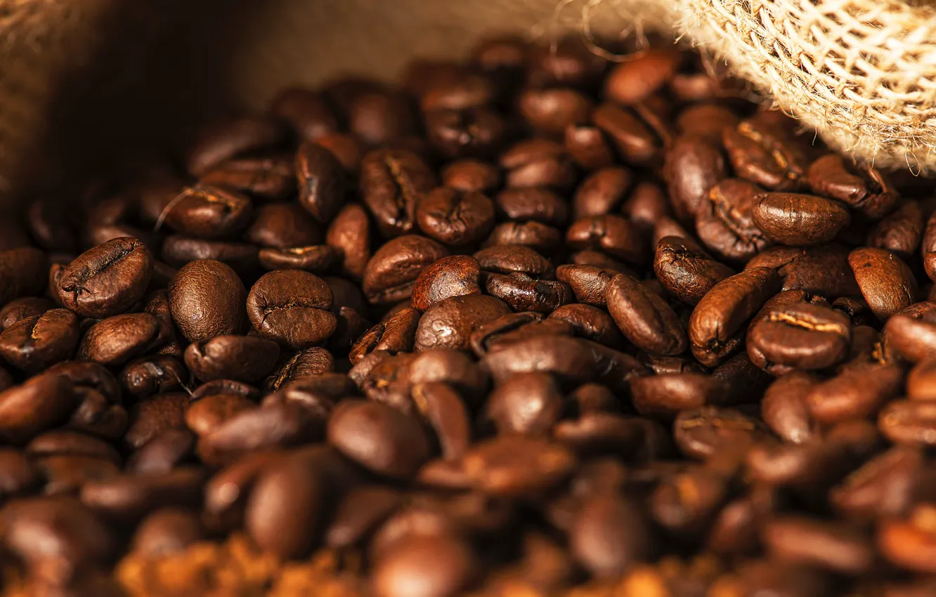 Photo wallpaper macro, coffee, placer, a lot, coffee beans, burlap