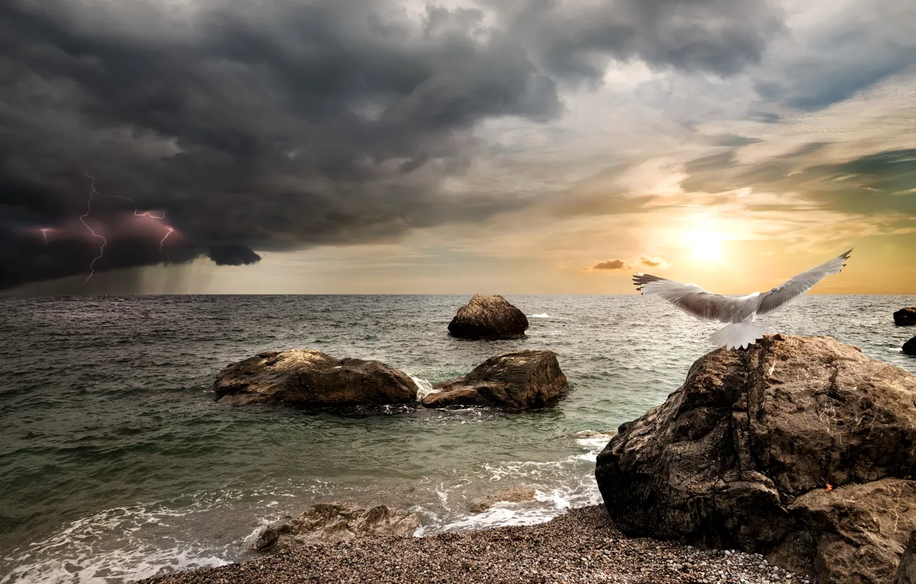 Photo wallpaper sea, the storm, the sky, the sun, clouds, stones, rain, bird