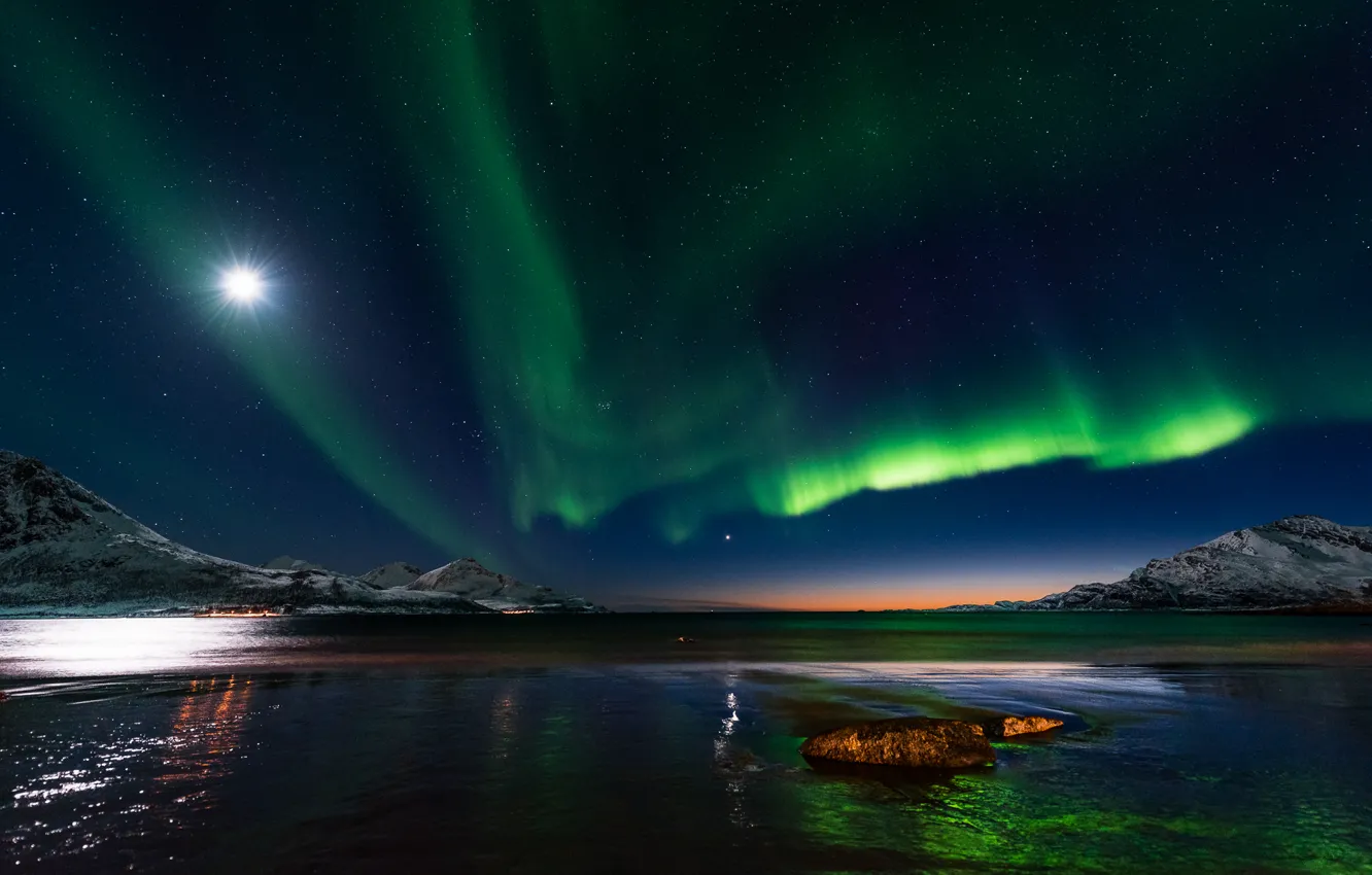 Photo wallpaper water, stars, trees, night, Northern lights, Norway
