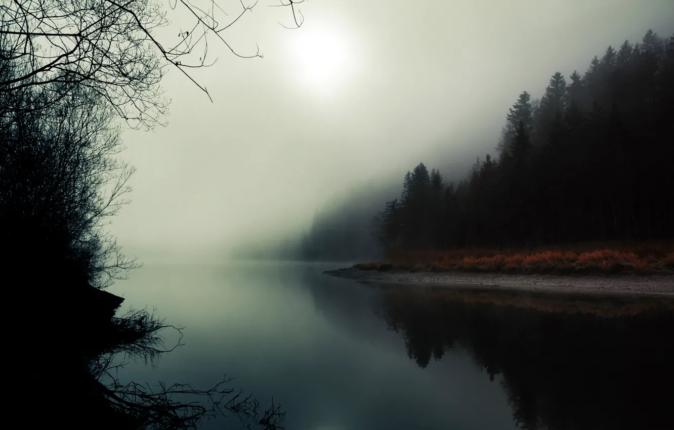 Photo wallpaper forest, nature, fog, river