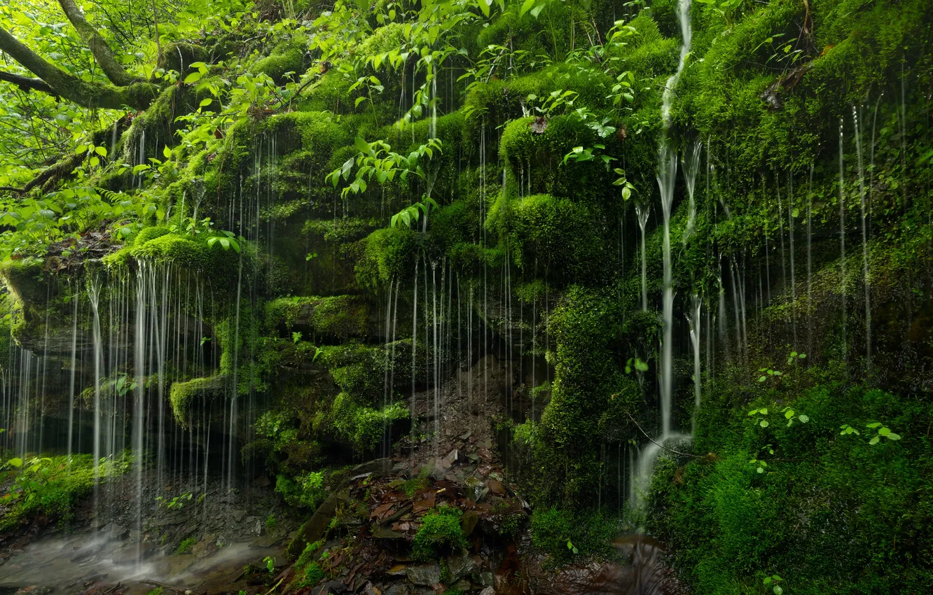 Photo wallpaper water, nature, rocks, plant, waterfall