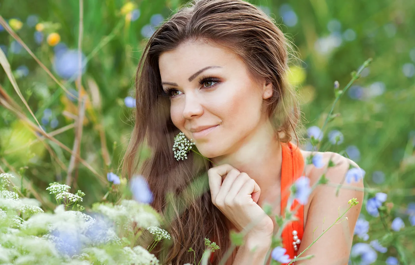 Photo wallpaper greens, summer, grass, look, girl, the sun, flowers, nature