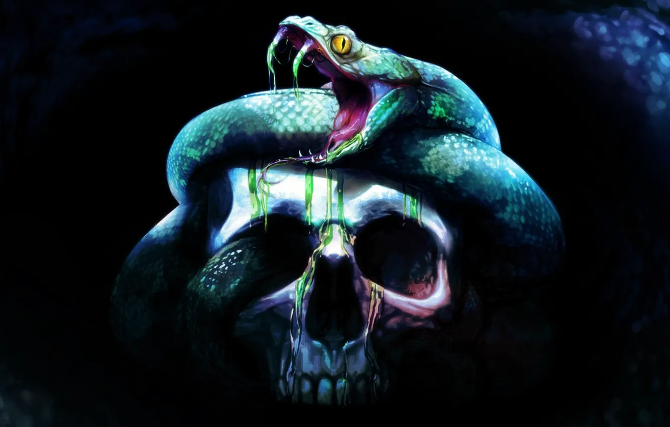 Photo wallpaper background, fear, skull, snake, sake