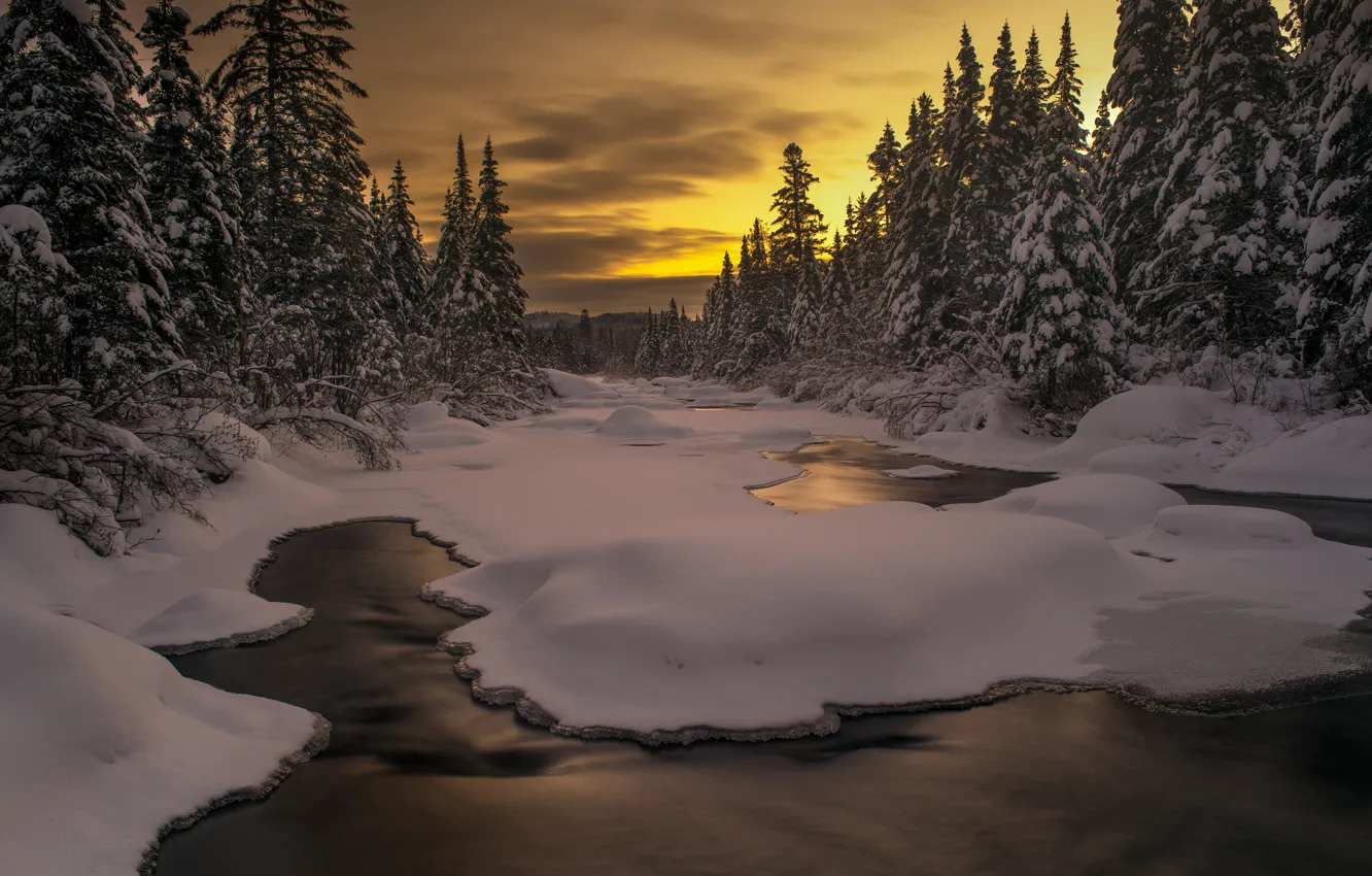 Photo wallpaper winter, forest, the sky, clouds, snow, landscape, sunset, nature