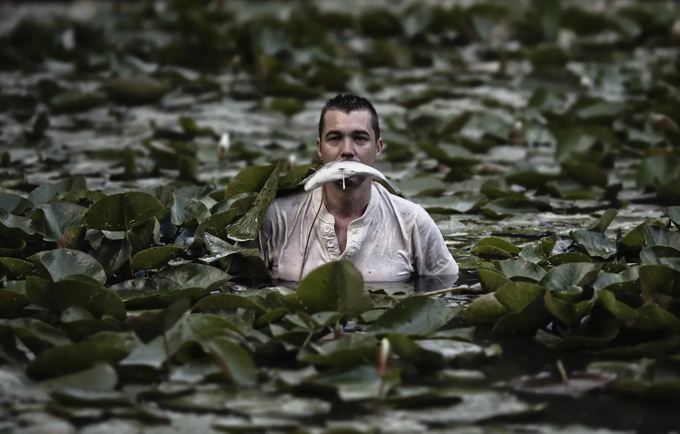 Photo wallpaper fishing, the situation, fish, male