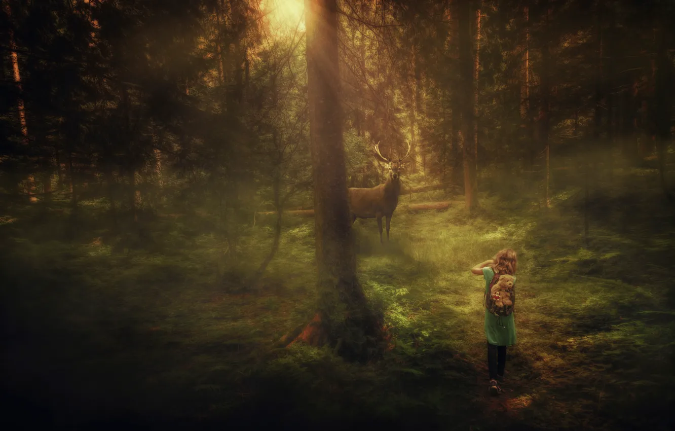 Photo wallpaper forest, deer, girl